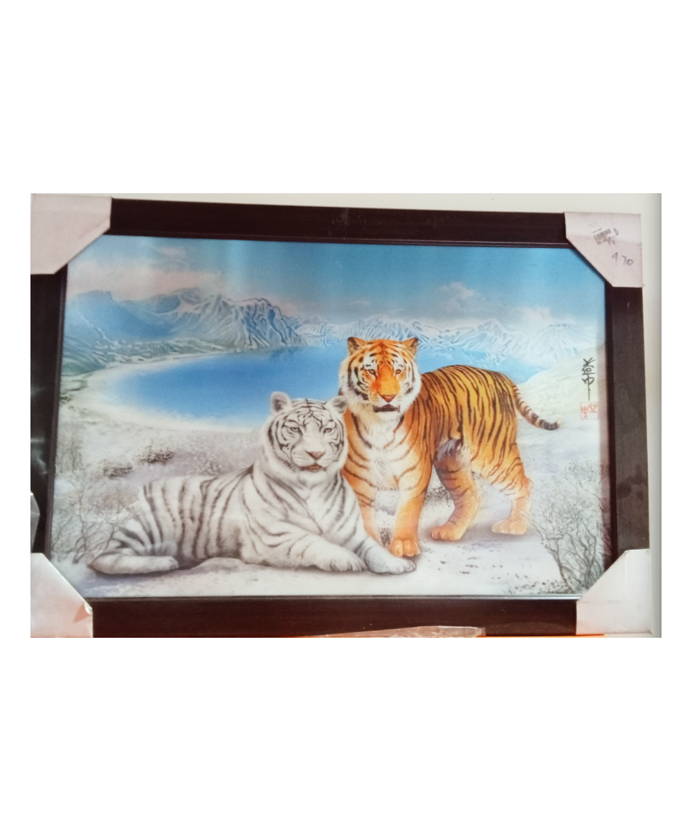 Tiger Scenary Picture