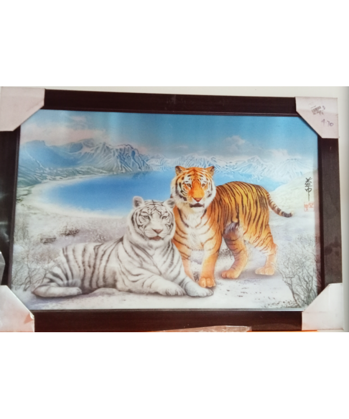 Tiger Scenary Picture