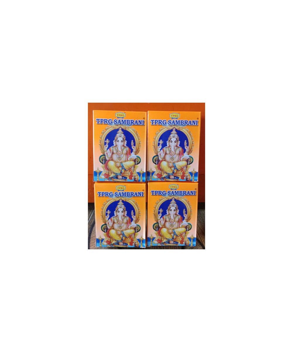 TPRG computer Sambrani