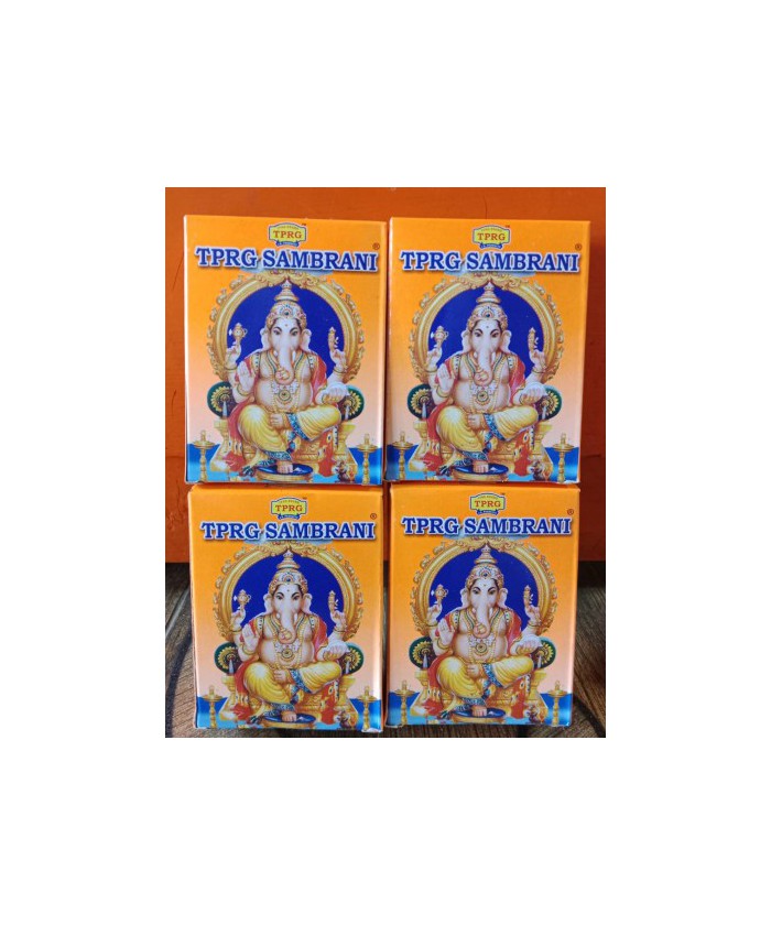 TPRG computer Sambrani