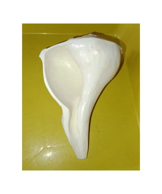 Valampuri sangu small