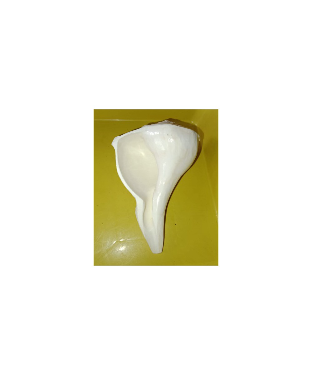 Valampuri sangu small