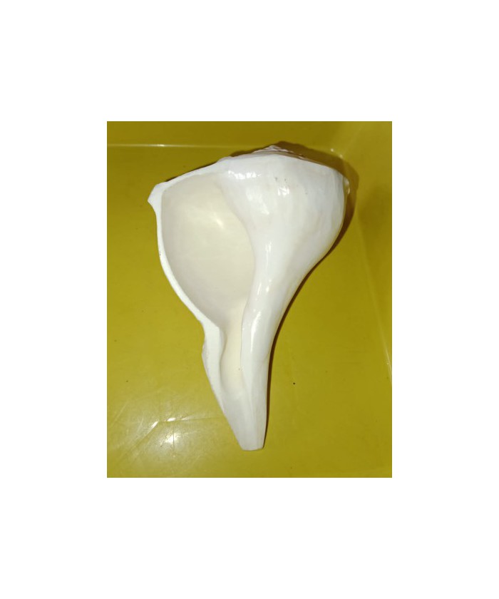 Valampuri sangu small